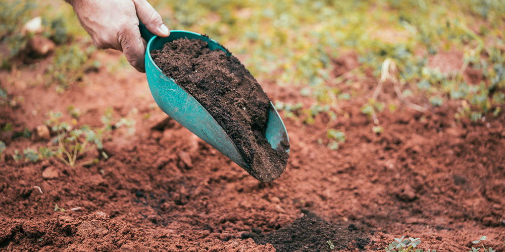 Εδαφοβελτιωτικά υλικά για βελτίωση των φυσικών ιδιοτήτων του εδάφους | Τα  Μυστικά του Κήπου