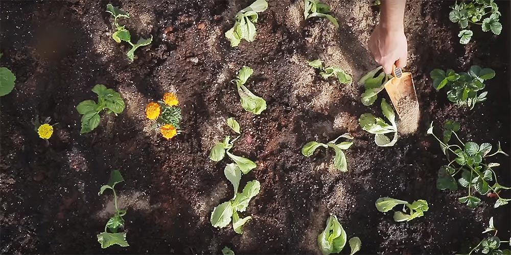 Πώς φτιάχνουμε τον δικό μας λαχανόκηπο (+video)
