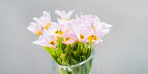 Πώς διατηρούμε τα λουλούδια σε βάζο για περισσότερες μέρες