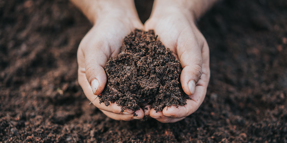 What is soil organic matter?