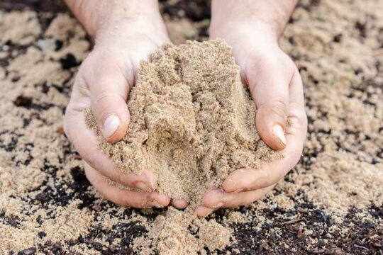 Άμμος χρήσεις στην κηπουρική
