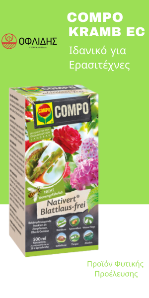 Compo