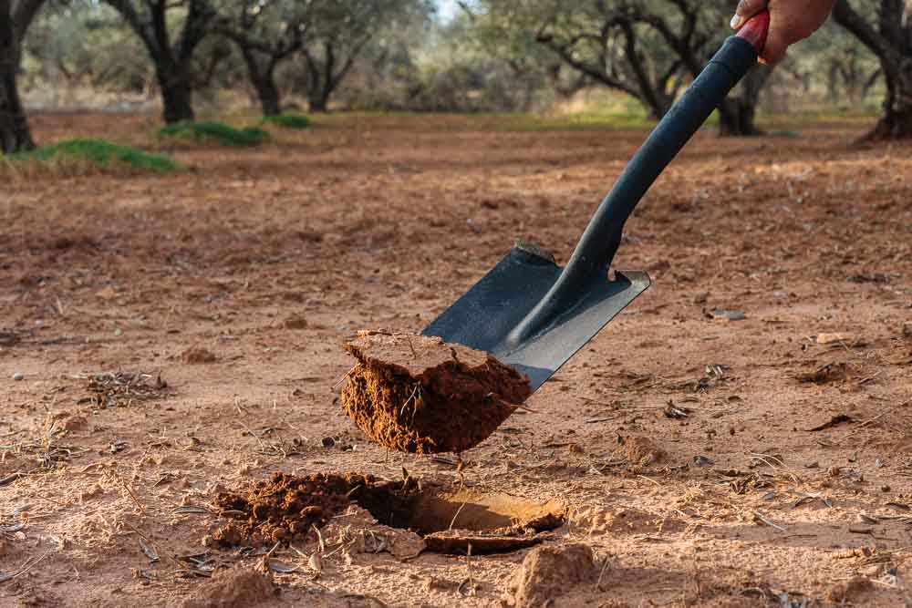 Τι είναι η αλατότητα του εδάφους και τρόποι αντιμετώπισης αλατοτητα εδαφους τροποι αντιμετωπισης