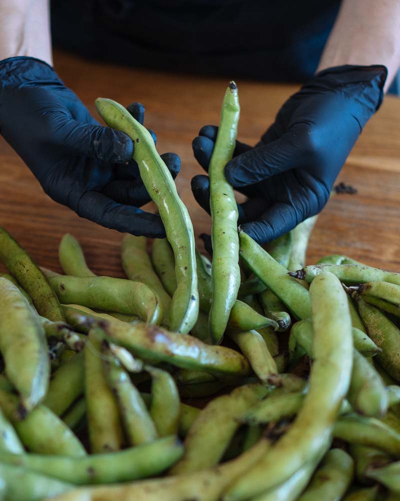 φρεσκα κουκια απο τον κηπο